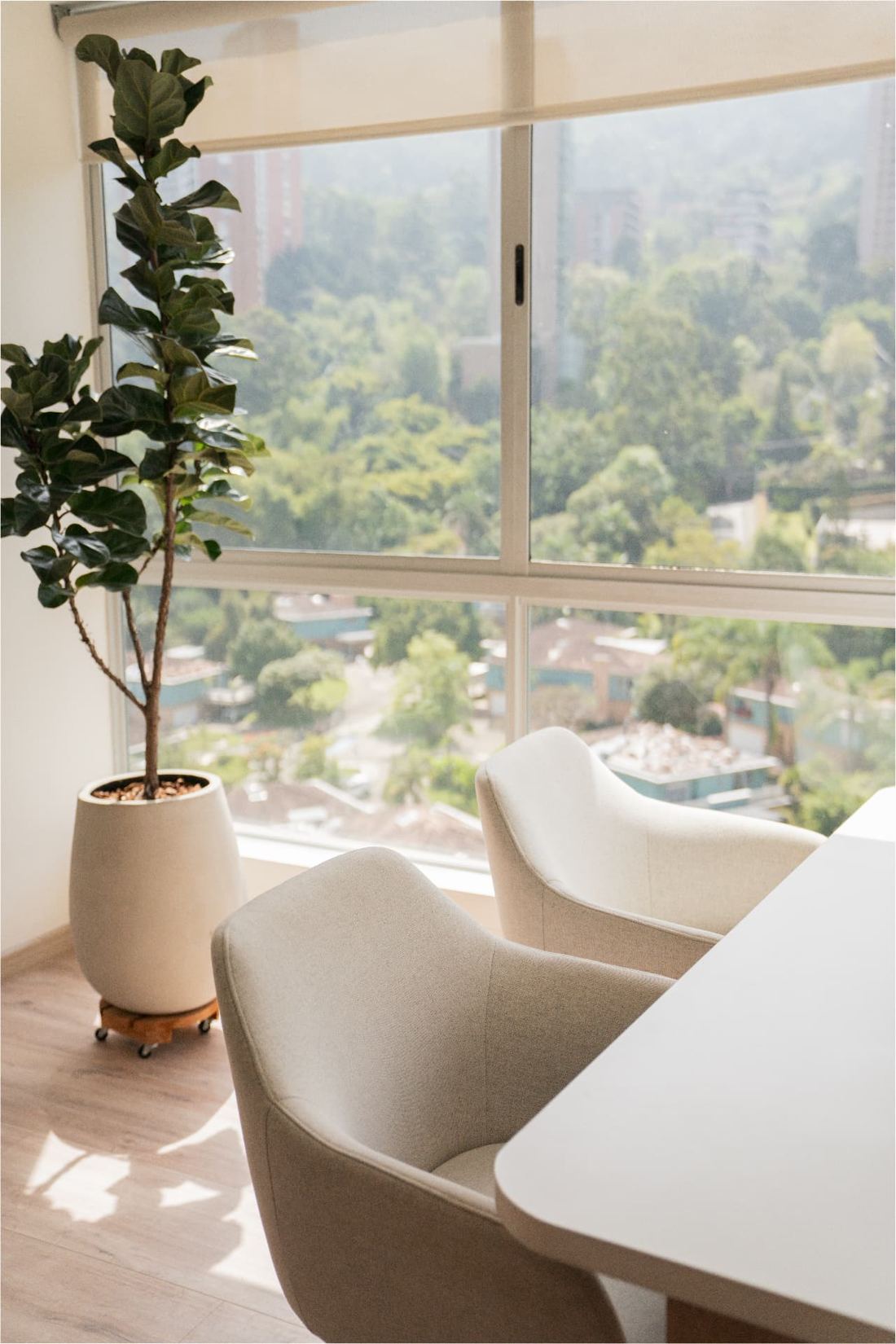 Sala del consultorio con vista a la montaña